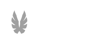 kondor
